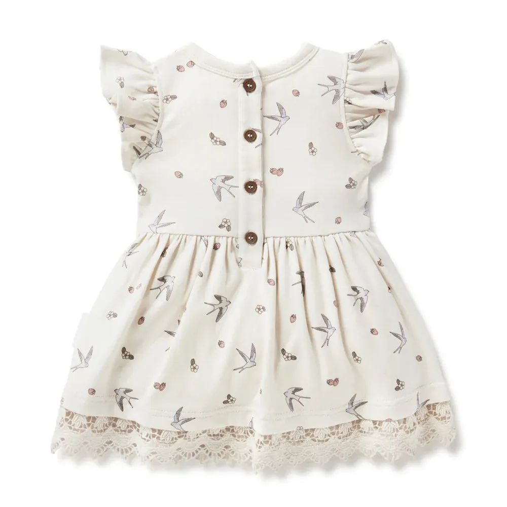 Aster & Oak Swallow Lace Ruffle Dress